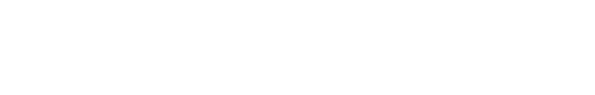 VIRTUS SYSTEMS